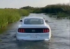 Video: Ford Mustang Goes for a Swim, Must Be a Crowd Nearby