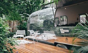 Vintage Airstream Sovereign Is Now a Tiny Home Hidden in an Exotic Green Paradise