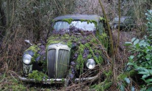 Vintage British Cars Found in Remote Barnyard to Sell for Thousands