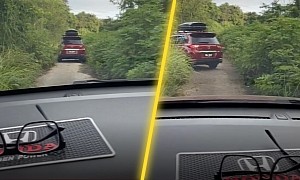 Viral TikTok Video Shows Cars Using Waze Going Through a Forest, That's How the App Works