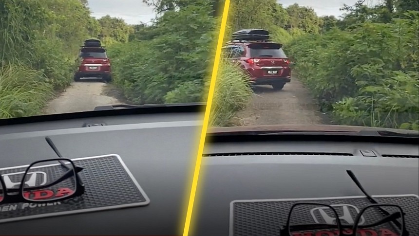 Waze sent drivers through a forest to avoid traffic jams
