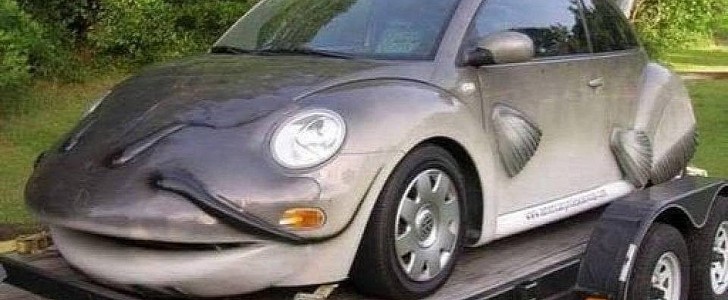 VW Beetle Catfish