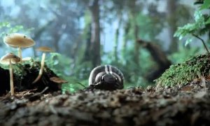 VW Super Bowl Ad Teaser: 21st Century Beetle Revealed