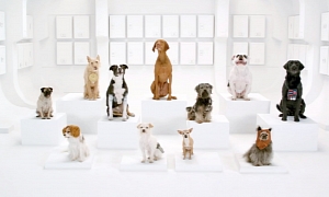 VW Super Bowl Ad Teaser: Dogs Sing Star Wars Theme