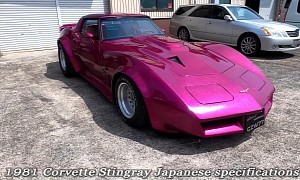 Watch a 1981 Corvette Become “Magic Flake Violet Pink” Gift for Daughter's 21st