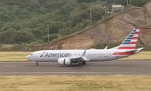 Watch a Boeing 737 Abandon Full-Speed Takeoff After Several Bird Strikes