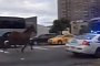 Watch a Runaway Steed Named Bernie Being Chased by Two Police Cars