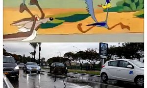 Watch an Escaped Emu Hilariously Causing Chaos on a Highway in Tel Aviv