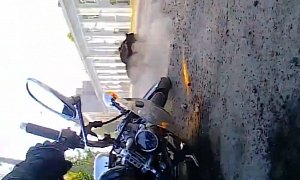 Watch and Learn: Panicked Rider Crashes after Dogs Bark at Him