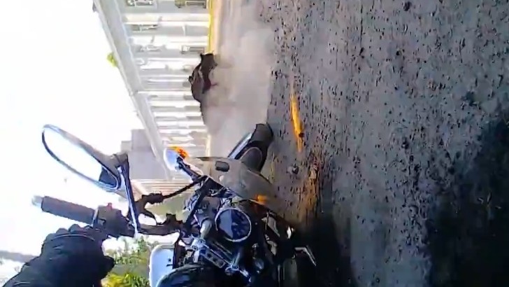 Panicked Rider Crashes after Dogs Bark at Him