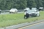 Watch the Authorities Chasing a Cow on the Highway Because Really Why Not