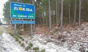 What Happens When Florida Freezes?