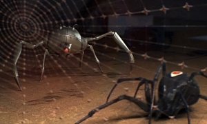 What If Spiders Went Hybrid? Here’s An Awesome Animation