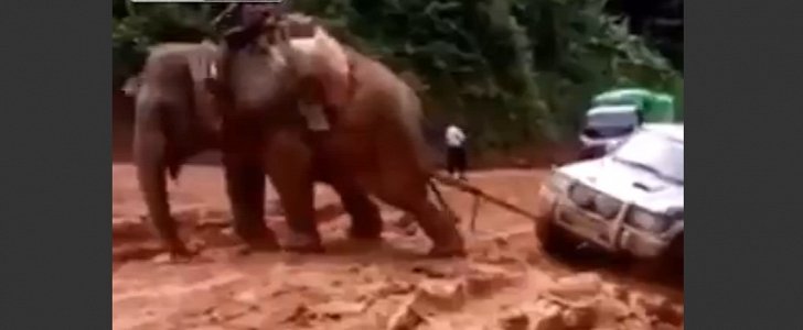 Elephant pulls SUV out of mud