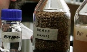 Whiskey Waste Used to Make Biofuel
