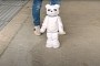 White, Fluffy Teddy Bear Is the Ultimate Stuffed Toy, It Moves and Reacts to Your Mood
