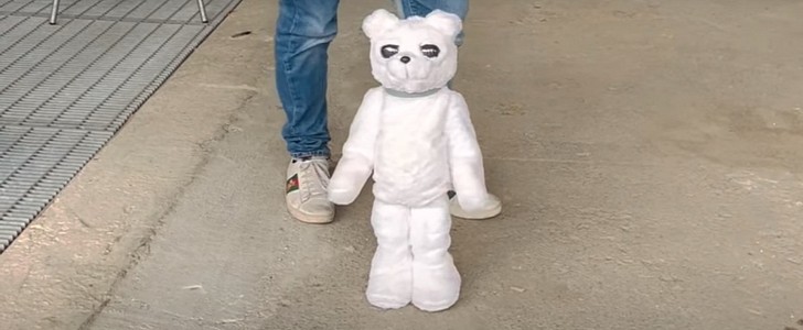 Teddy robotic bear