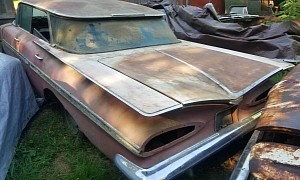 Whoever Saves This 1959 Chevrolet Impala Deserves a Medal, No Doubt About It