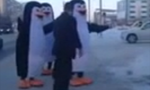 Why Did the Russian Penguins Cross the Road?