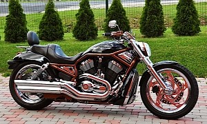 Wicked Harley-Davidson V-Rod Is the Last of Its Mutant European Breed