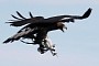 Wildlife Fears Terminator Skynet Scenario: Birds Attack Drones on Regular Basis