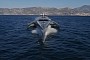 Williams Will Enable Sustainable Voyages in World's First Li-S Luxury EV Boat