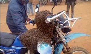 Witchcraft And Bees Help Recover Stolen Motorcycle