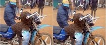 Witchcraft And Bees Help Recover Stolen Motorcycle