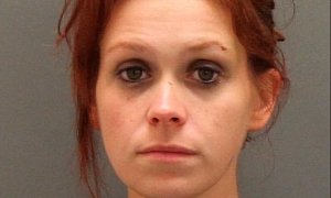 Woman Arrested for Drunk-Driving an Electric Toy Truck
