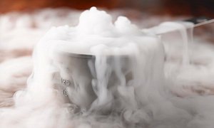 Woman Dies of Suffocation in Car with Dry Ice Coolers