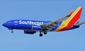 Woman Heartbroken After Being Separated From Pet Fish on Southwest Flight