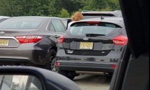 Woman Spends 7 Minutes to Back Out of Parking Lot, Repeatedly Smashes Into Car