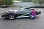 Woman Survives Breast Cancer, Turns 1974 Stingray in a Tribute for Those Still Fighting