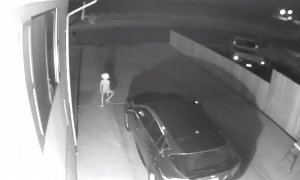 Woman’s Security Camera Catches Alien Strutting in Her Driveway