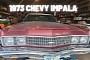 World, Let’s Welcome Back This Original 1973 Chevy Impala That’s Been Hiding for Decades