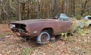 World's Roughest 1969 Dodge Charger Spent Decades in the Woods and It Still Runs