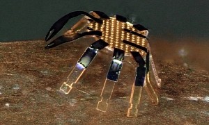 World's Smallest Walking Robot Is Tinier Than a Flea, Has a Width of Just 0.019"