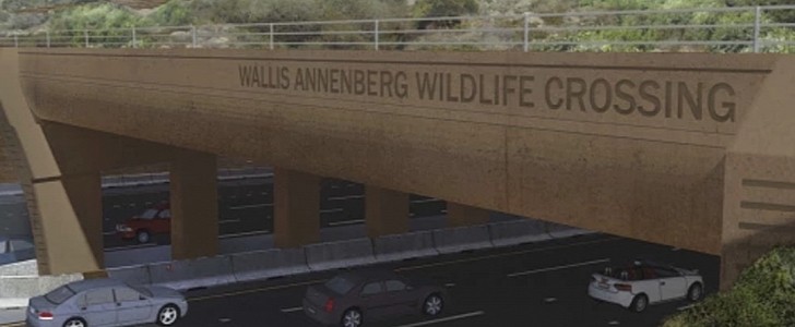 The upcoming bridge will allow wild animals in the area to cross safely