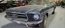 Worth Restoring: 1967 Ford Mustang Flexes Factory Nightmist Blue, Plenty of Rust
