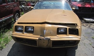 Worth the Effort? 1980 Pontiac Trans Am Emerges With Bad News Galore