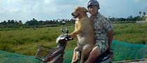 Would You Trust Your Scooter to a Dog?