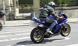 Yamaha R6 Rider Shows Awesome Wheelie-then-crash Skills