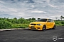 Yellow Fascination: BMW 1M Hatchback