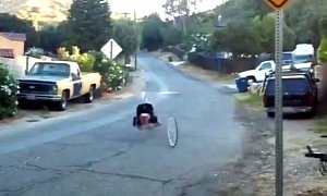 You Don't Need a Motorcycle for a Huge, Hilarious Wheelie Fail