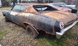 You Got to Love Junkyards: 1969 Chevelle SS 396 Emerges With All-Original Muscle