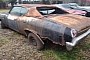 You Got to Love Junkyards: 1969 Chevelle SS 396 Emerges With All-Original Muscle