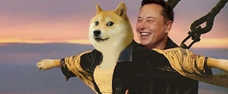 Elon Musk is the staunchest supporter of Dogecoin crypto