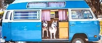 Young Couple Loves Traveling With Two Huskies in This Adorable Vintage VW Bus