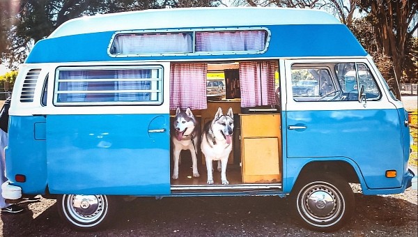 Aaron and Elyse felt comfortable traveling with their two Husky dogs in this vintage VW bus