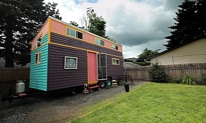 Young Guy Turns Ordinary Preowned Tiny House on Wheels Into a Vibrant Home